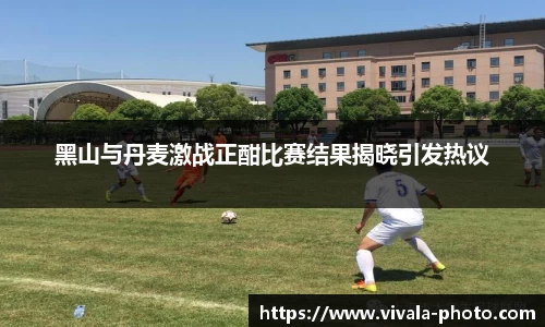 黑山与丹麦激战正酣比赛结果揭晓引发热议