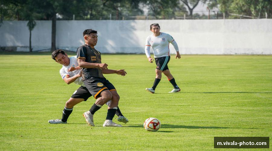 激情体验，体育生活